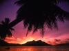 Tropical Beach at Sunset, The Seychelles
